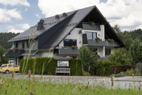 Отель Landhaus Meran Ferienwohnungen, Виллинген